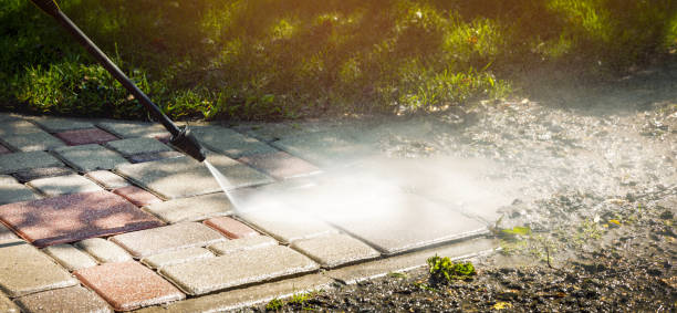 Best Driveway Cleaning and Restoration in Blaine, MN
