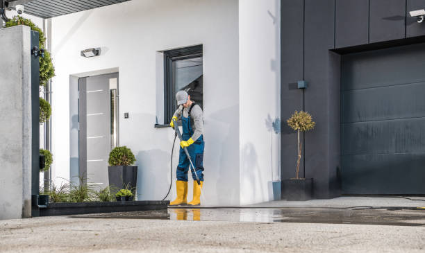 Best Gutter Cleaning and Brightening in Blaine, MN